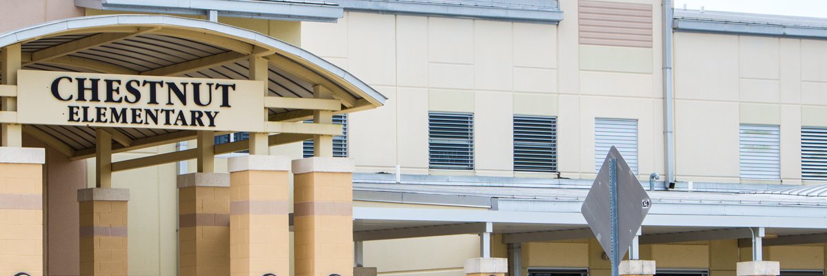 CHESTNUT ELEMENTARY banner