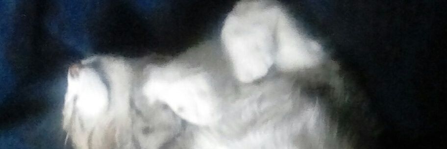 Kaye Horsfield banner