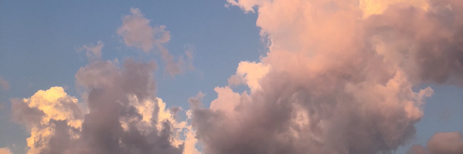cassy krueger banner