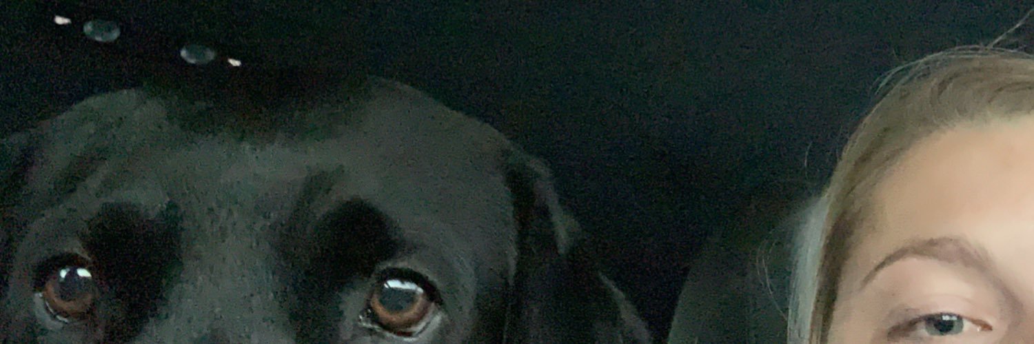 OLauren17's profile banner image