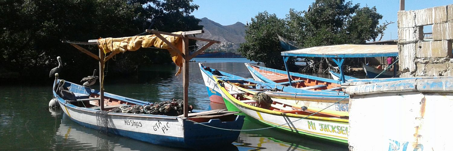 guantaaldia's profile banner image