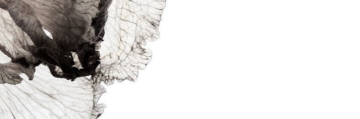 sumaya_198's profile banner image