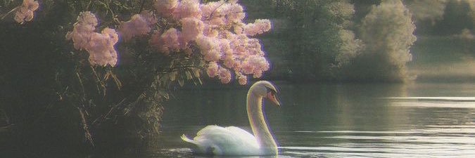 smile_glsm's profile banner image