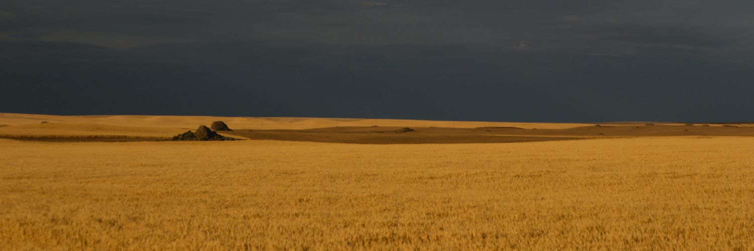 boncorer's profile banner image