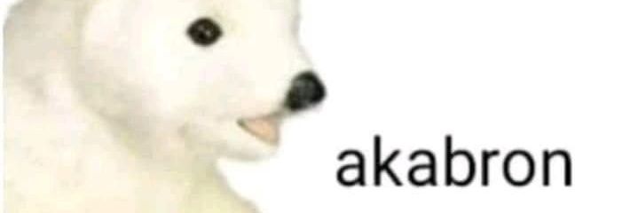 b1ewwbear's profile banner image