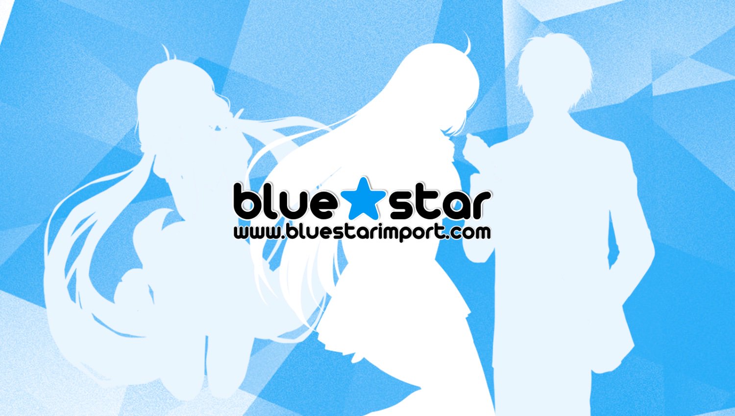 Blue Star Import banner