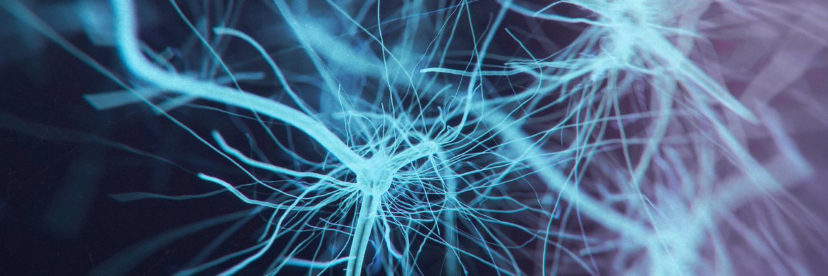 UCI Brain 🧠 banner