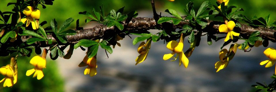 onkank's profile banner image
