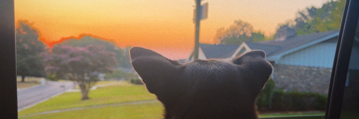 Hay_Maddison's profile banner image