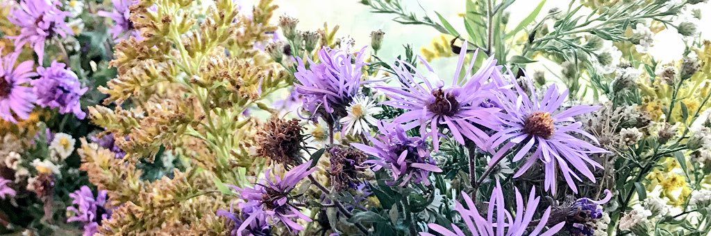 grace_ruhlman's profile banner image