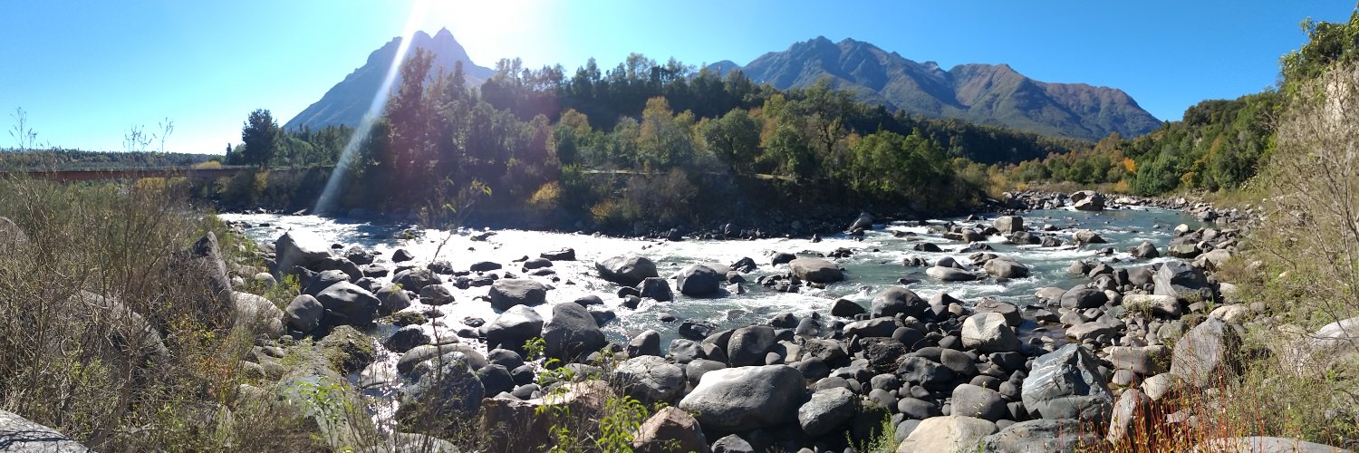 Camila Bañales Seguel banner