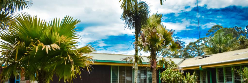 PNG Institute of Medical Research banner