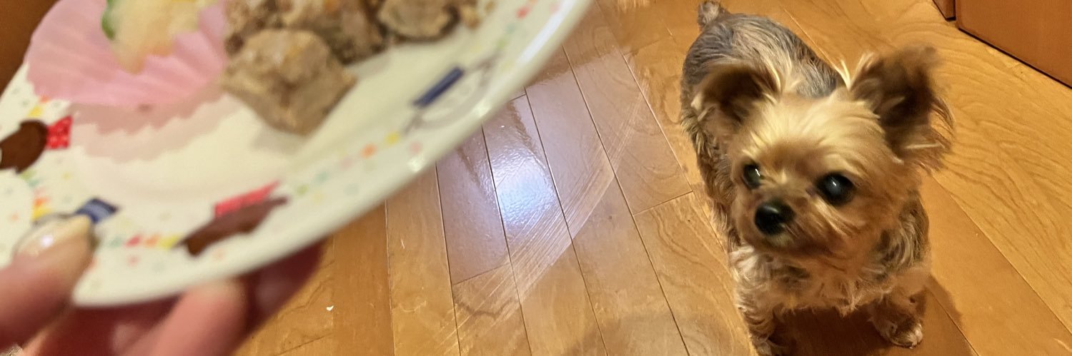mayuuuun25's profile banner image