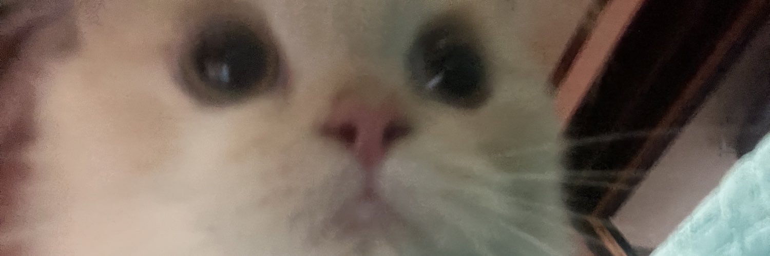 alvarezreyann's profile banner image