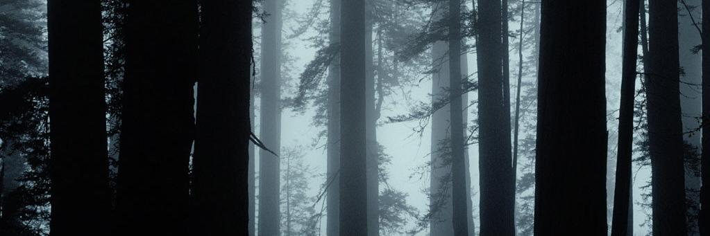 I_am_Depression's profile banner image