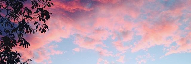 beccameg's profile banner image