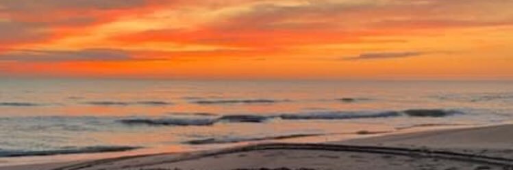Aimee 💚🌎 banner