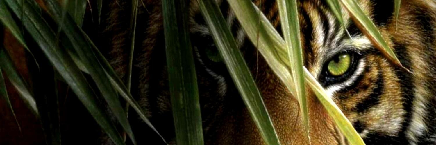 MaRa_2511's profile banner image