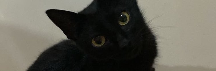 kaurxvins's profile banner image
