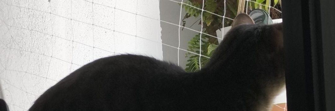 Luize Mourele banner