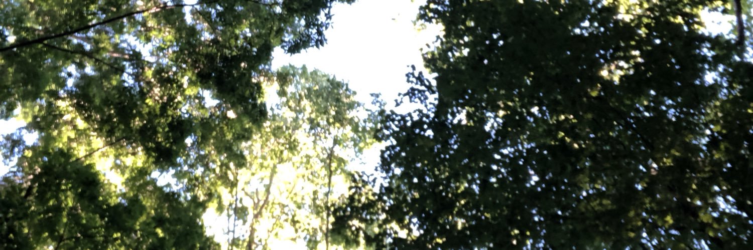 evansmp17's profile banner image