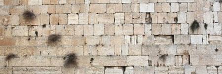 gmherschander's profile banner image