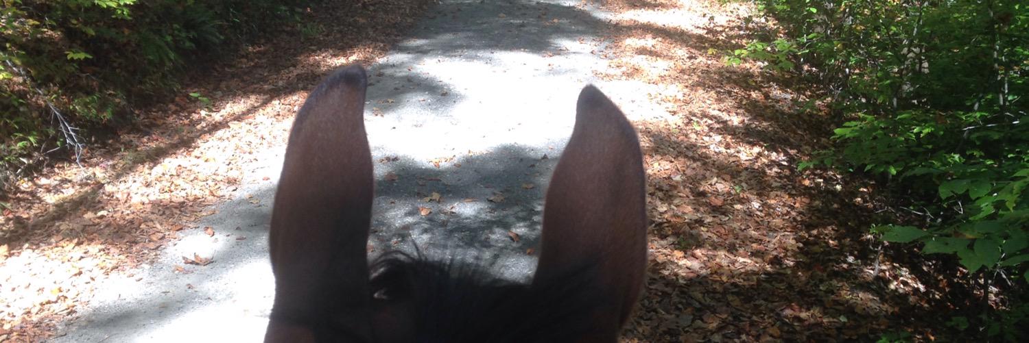 Moogan__'s profile banner image