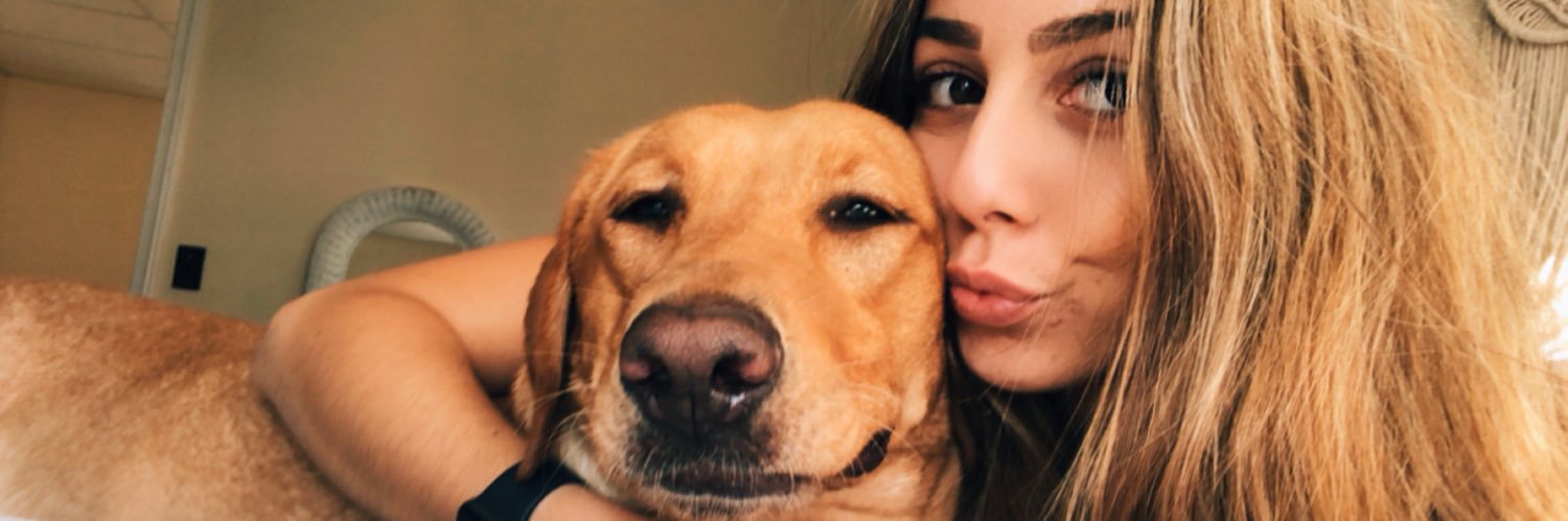 danielllerolfe's profile banner image
