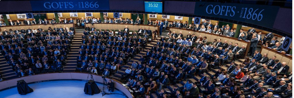 The Real Deal banner