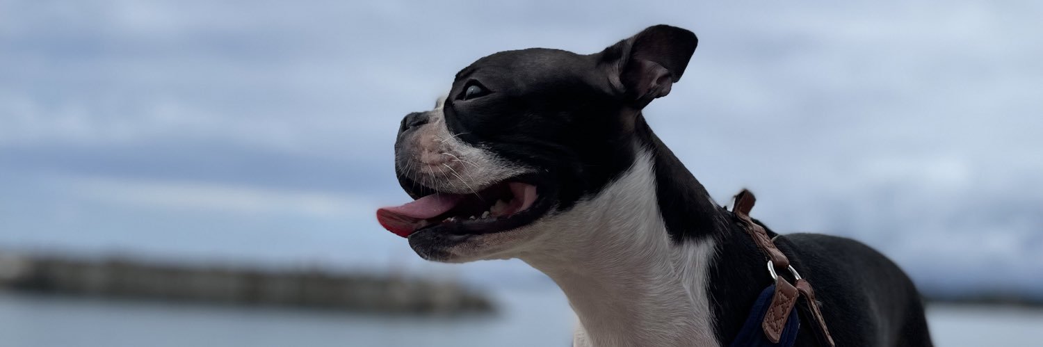 Brace_ice's profile banner image