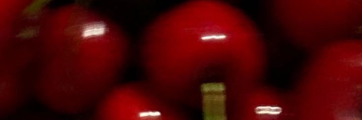 cataviilas's profile banner image
