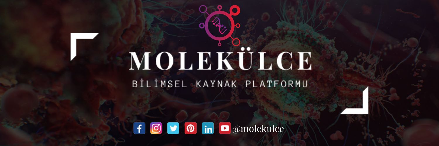 molekulce's profile banner image