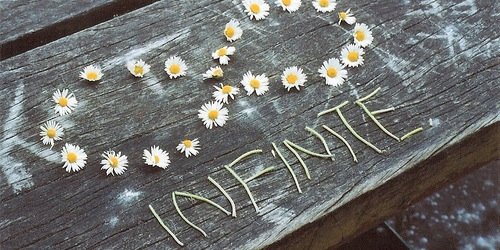 Cita D. Belarosa banner