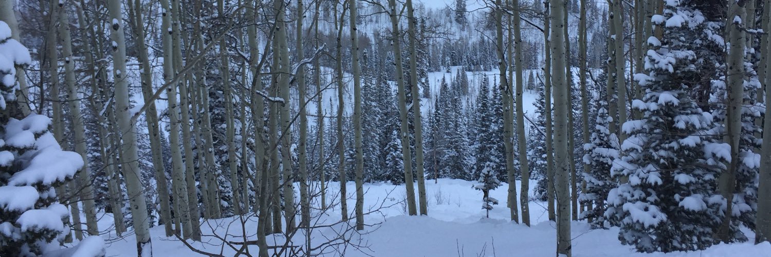 kylebrim_'s profile banner image