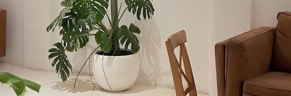 𝚃 𝙰 𝙰 𝙵🦌 banner