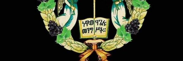 Naty_Taf Profile Banner