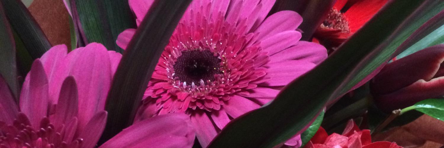misakitty34's profile banner image