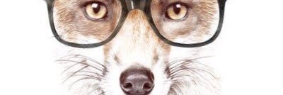 jonnyfox936's profile banner image