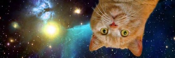 QuQ_lul's profile banner image