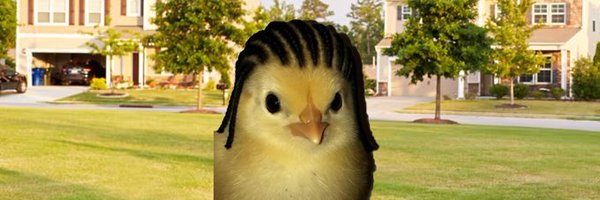 TEK9_HawK Profile Banner