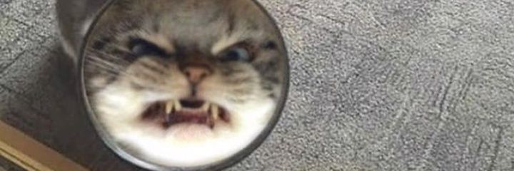 CaroOrtmann's profile banner image