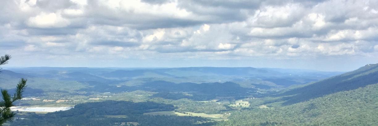 Fran Jackson Studdard banner