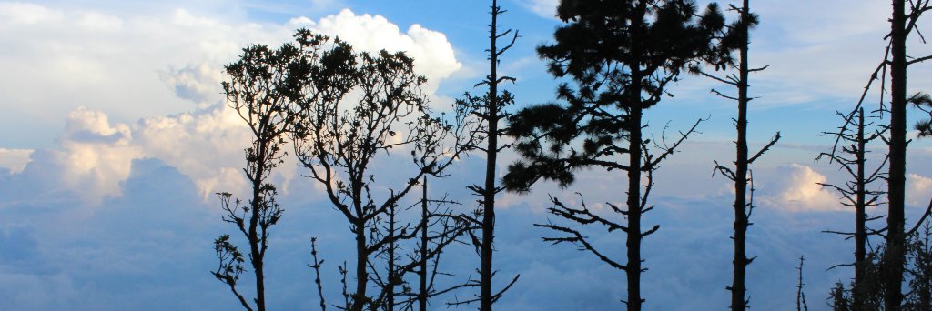 Gabriel Garrett banner