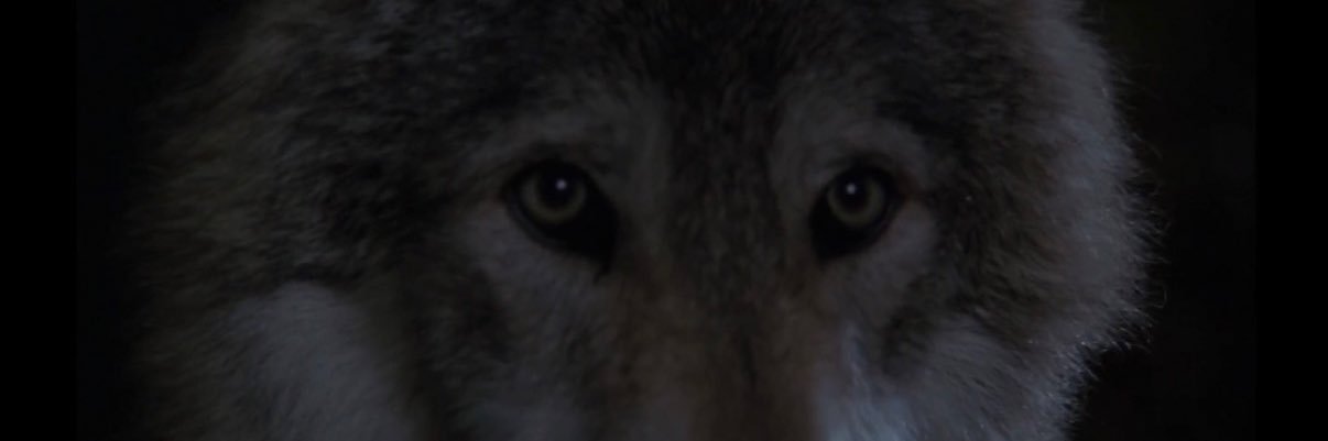 unexpected_36's profile banner image