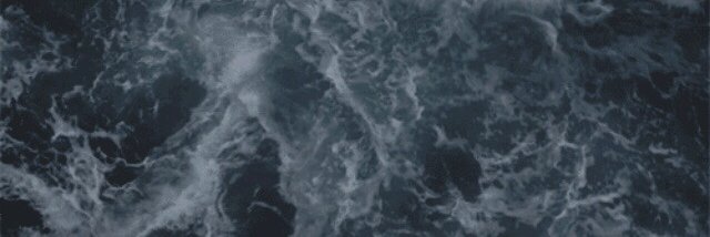wildfireshawn's profile banner image