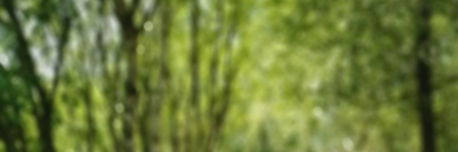 Angeline_Leger's profile banner image