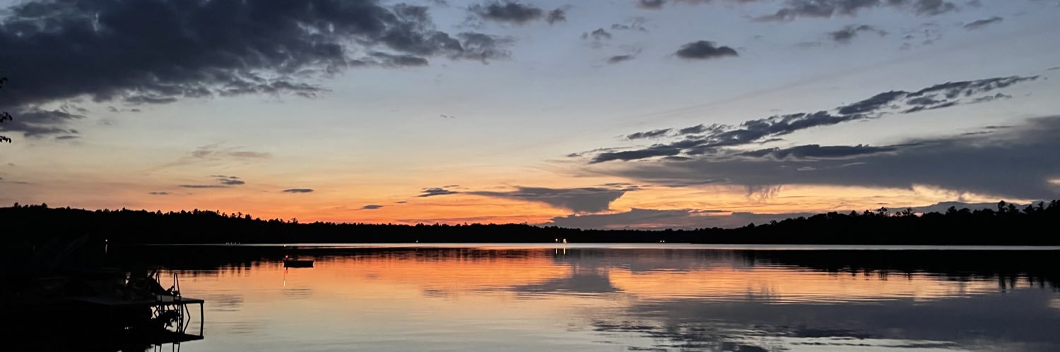 Steve Halliday banner