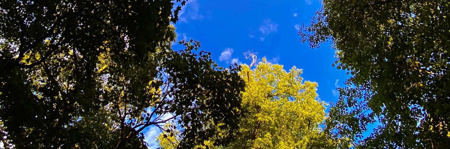 georgia 🌻🍄 banner