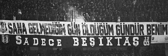 Coni banner