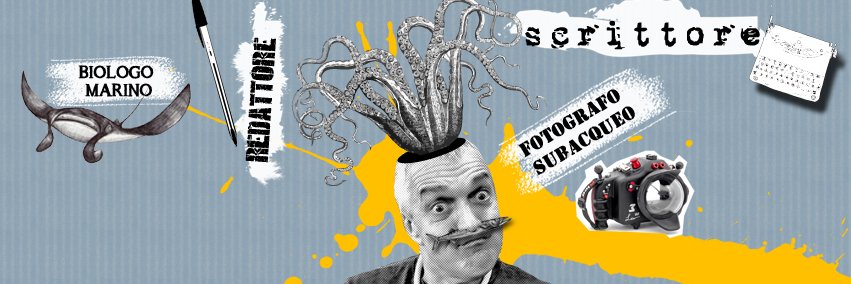 massimoboyer's profile banner image